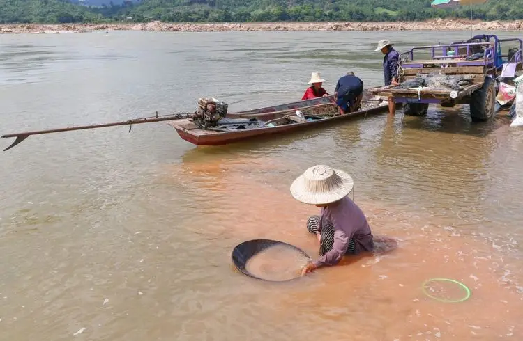 Senegal stoppt Bergbau am Faleme-Fluss