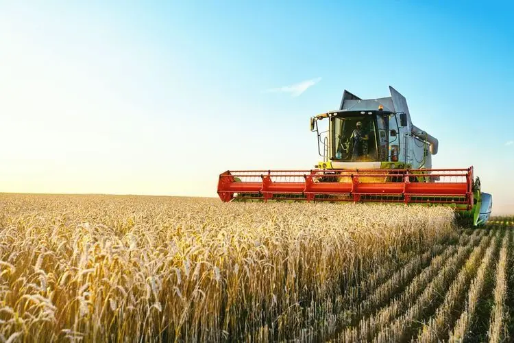 Ukraine-Krise wird Auswirkungen auf Nahrungsmittelversorgung haben